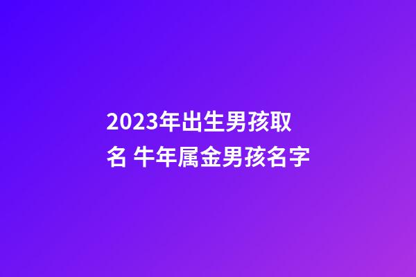 2023年出生男孩取名 牛年属金男孩名字